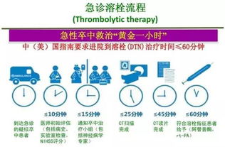 腦卒中健康管理與養生保健服務全解析